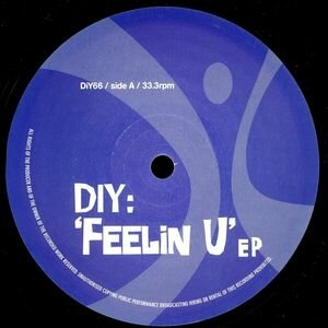 DiY - 'Feelin U' EP