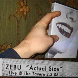 Zebu! - Actual Size