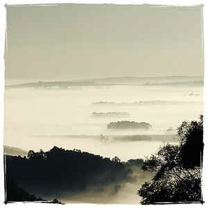 Andrew Backhouse - (Remix Of The) Dawn Chorus Near An Urban Stream