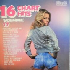 16 Chart Hits Volume 17