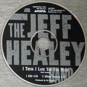 Jeff Healey Band, The - I Think I Love You Too Much 