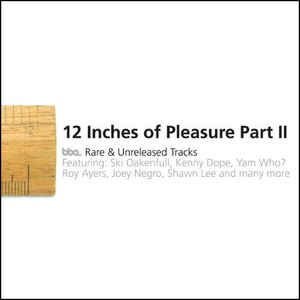  - 12 Inches Of Pleasure Part II