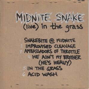 Midnite Snake - (Live) In The Grass